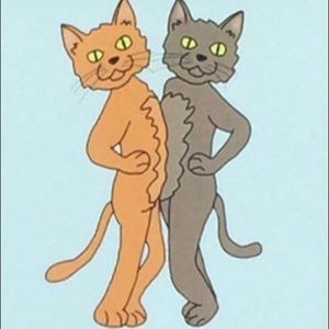 Meet your Posher, Meredith